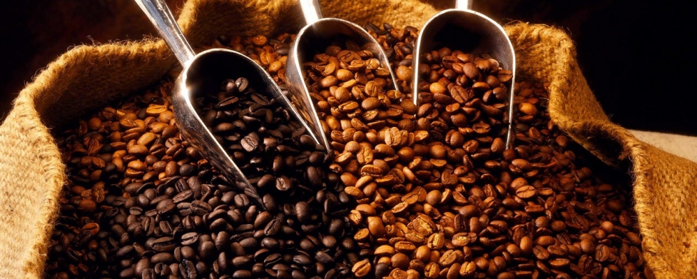 Recursos do Funcafé estão à disposição dos cafeicultores