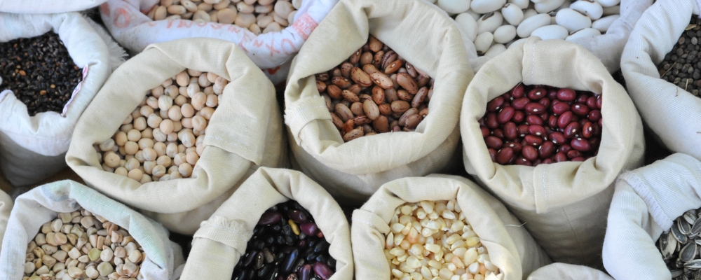 Ministério faz seminário sobre sementes e mudas para a agricultura familiar