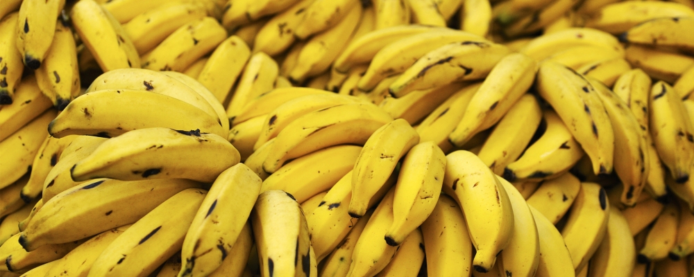 Paludo participa de reunião com bananicultores