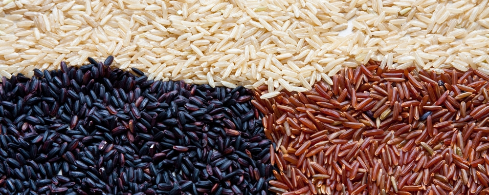 Arroz/ CEPEA: Comprador e vendedor se retraem e liquidez se reduz no RS
