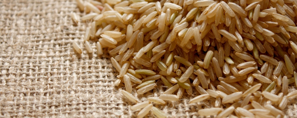 Produção brasileira de arroz deverá ser 6,9% maior em 2014