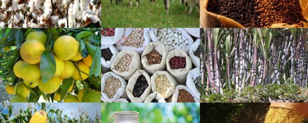 COTAÇÕES AGRICOLAS