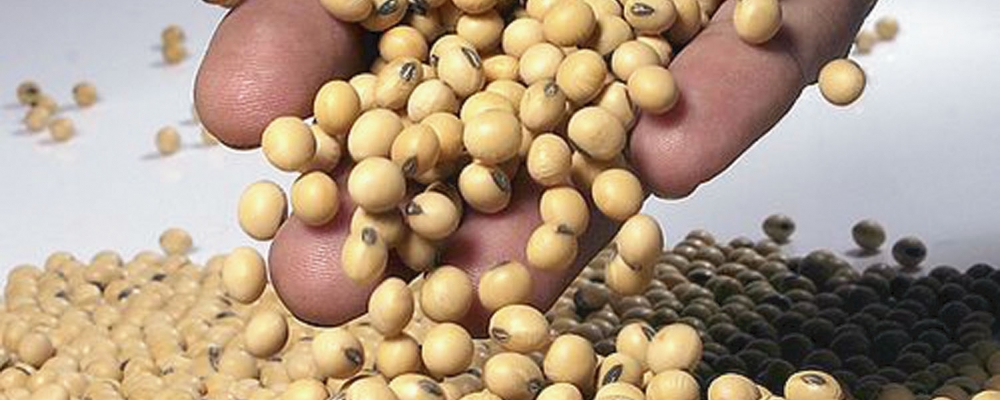 Soja em grão supera minério de ferro e lidera exportações do país