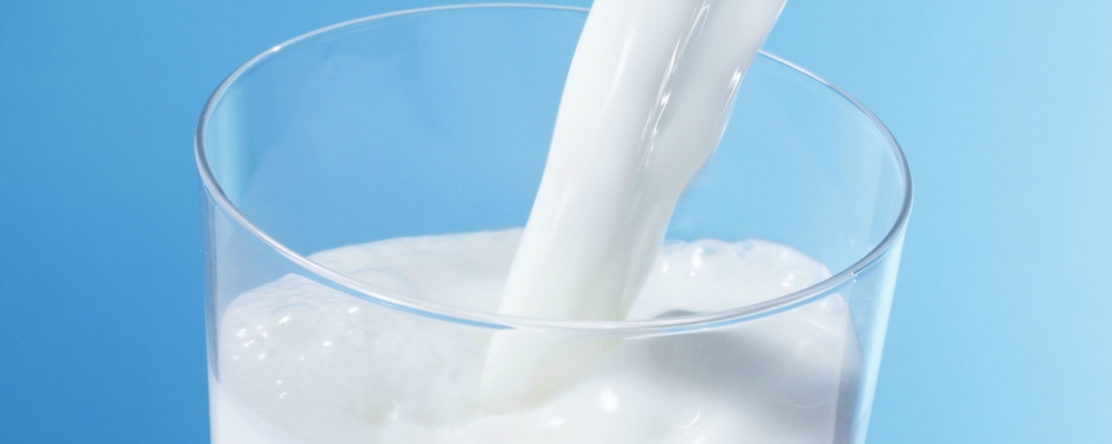 Estados do sul se unem em prol do desenvolvimento da cadeia produtiva do leite