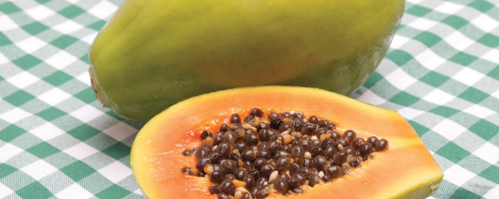 Degustação de mamão na GranExpoES 2014