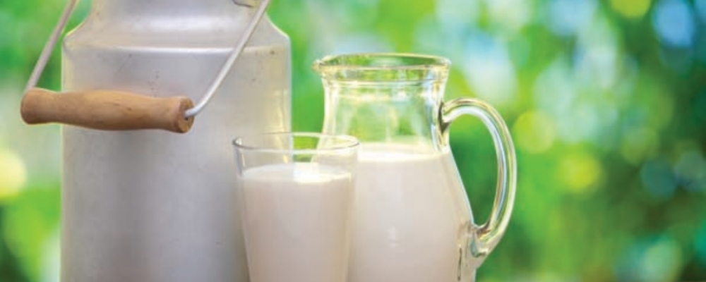 Cargill alimentos-nutron apresenta novas tecnologias para pecuária leiteira