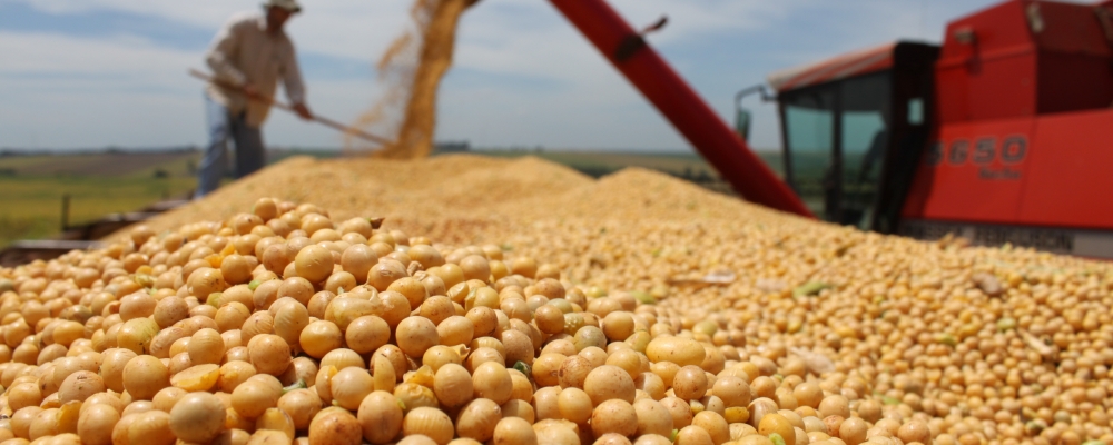 Logística custa 17% do preço da soja entregue em Paranaguá