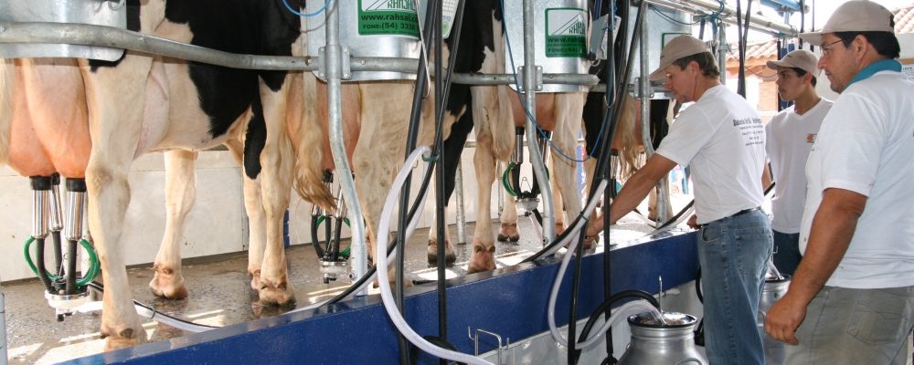 Estados do sul selam parceria para fortalecer a cadeia produtiva do leite