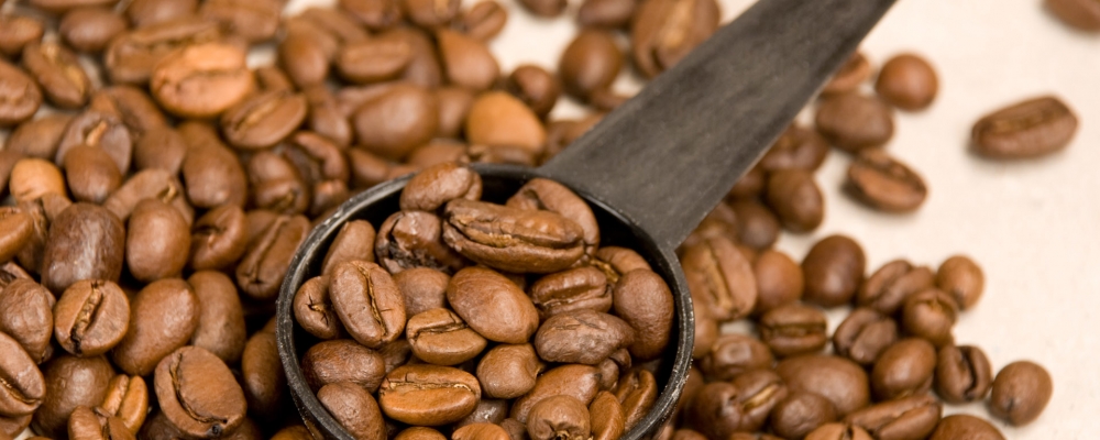 Cafeicultores triplicam produtividade do grão