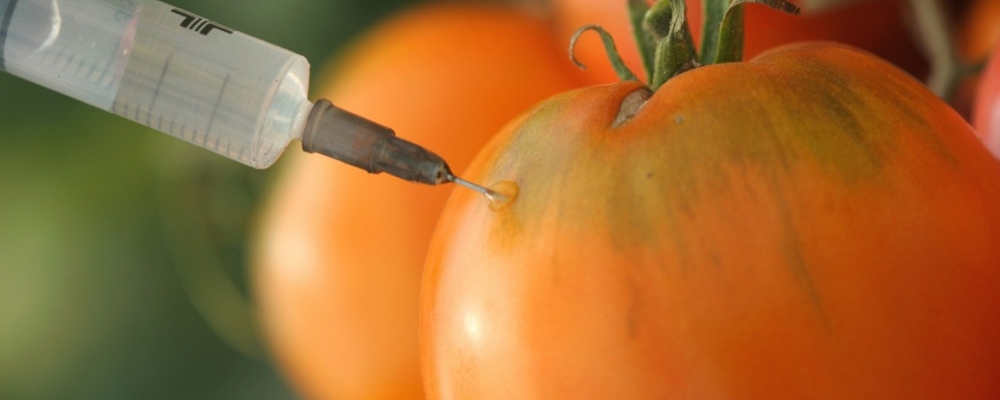 “Transgênicos otimizaram uso de insumos agrícolas”, diz Roberto Rodrigues