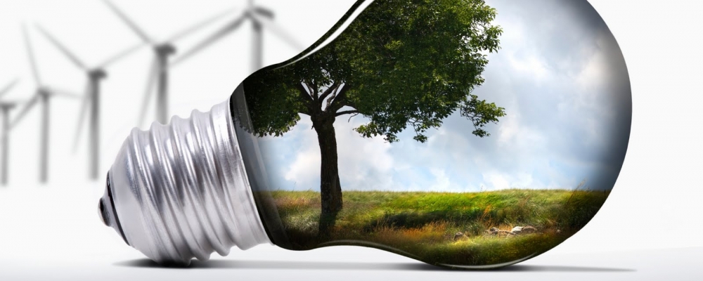 Energias renováveis conquistam espaço