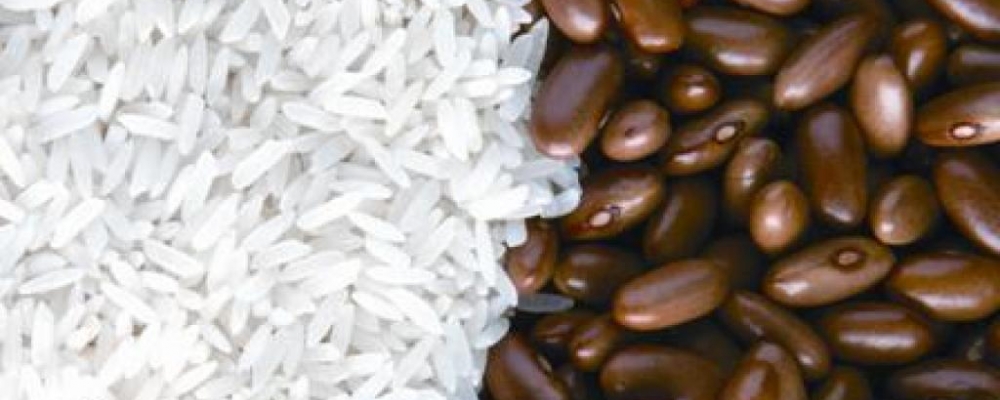 Arroz e feijão terão maiores perdas na safra do Ceará