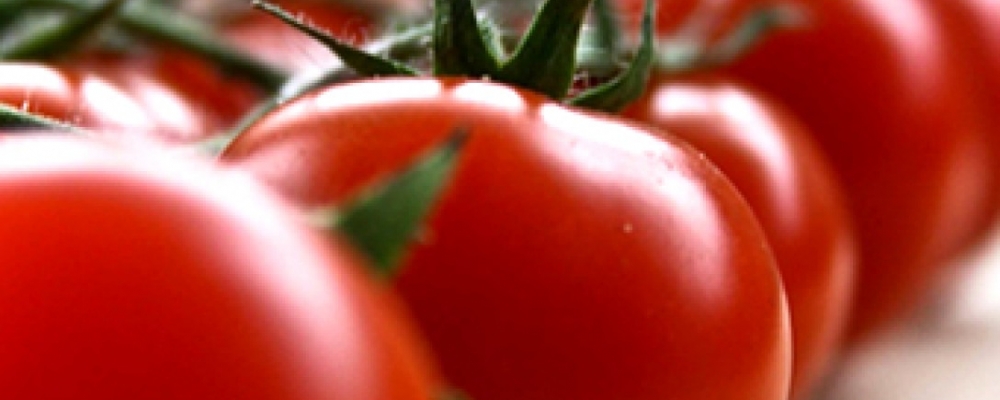 Congresso discute avanços e desafios do tomate industrial