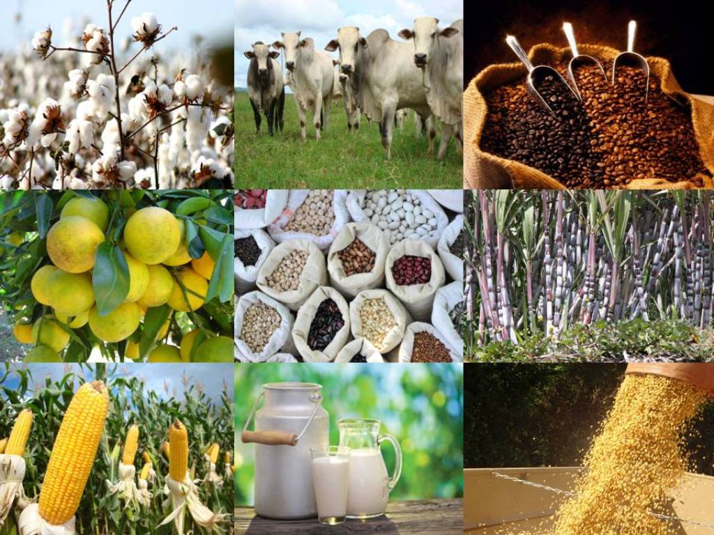 COTAÇÕES AGRÍCOLA