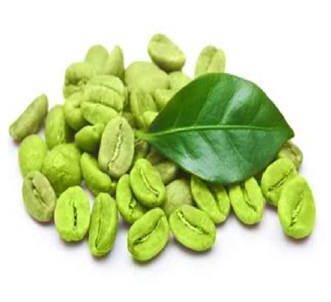 Exportação de café verde do Brasil cresce 11,5% em janeiro; receita dispara