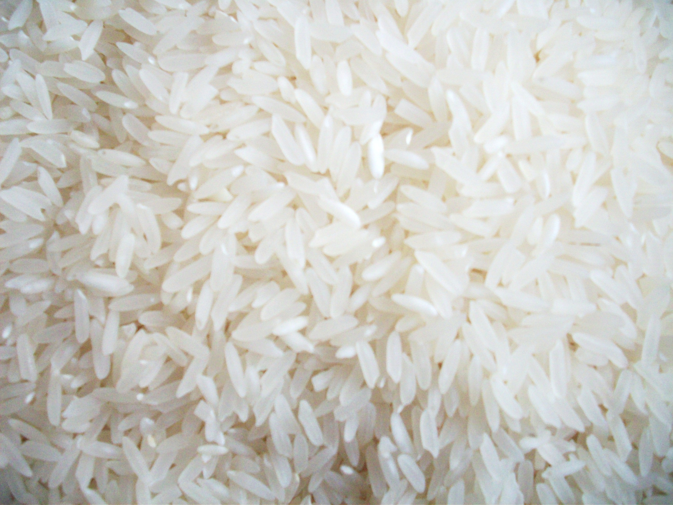 Colheita do arroz no RS chega a 64,4% da área plantada