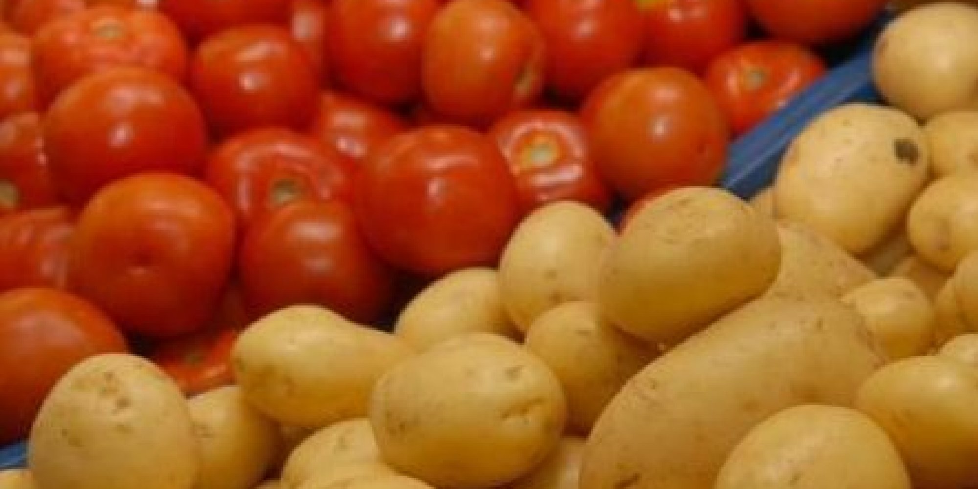 Campinas sedia evento para discutir cultivo de batata e tomate