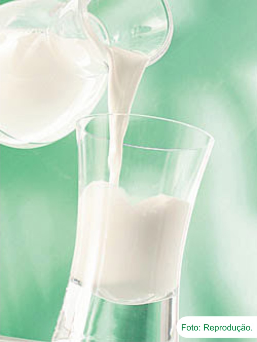 Estabilidade no mercado do leite em SC: Aurora mantém bom preço de R$ 1,10/litro