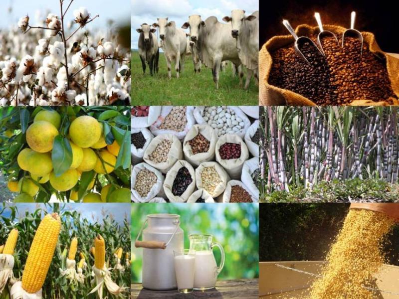 Cotações Agrícolas