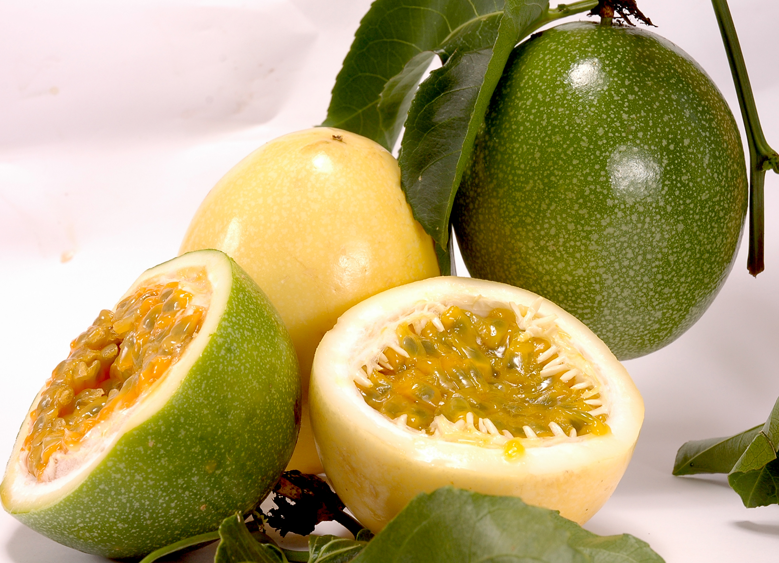 Embrapa lança publicação sobre maracujá