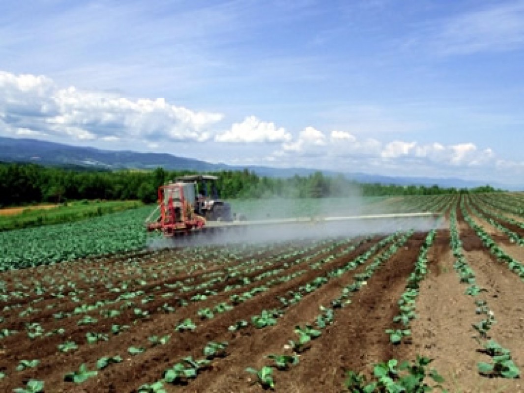 Paraná terá nova fábrica de fertilizante organomineral