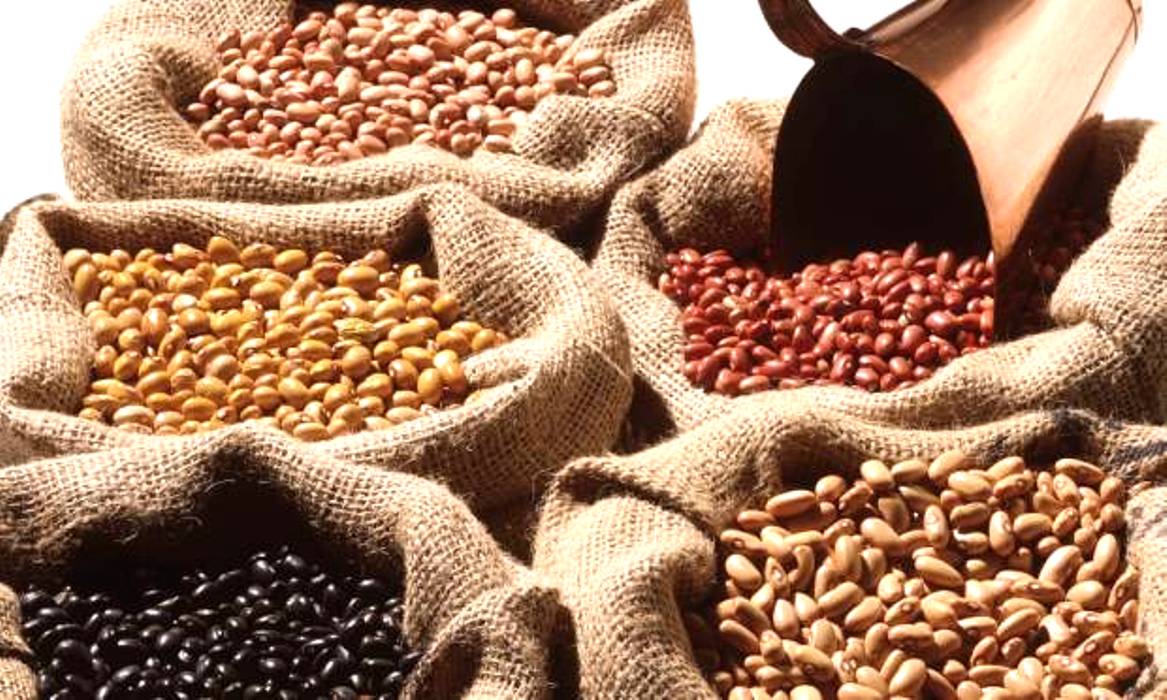 Leilão de venda de feijão comercializa 807 toneladas do produto