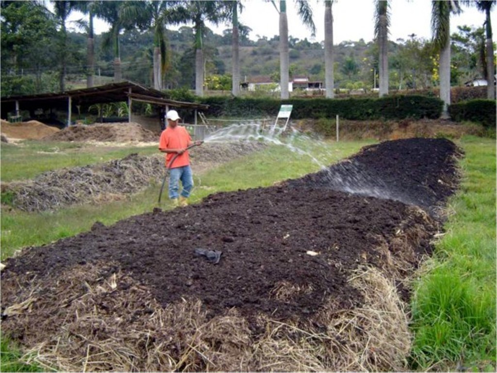 Compostagem garante reaproveitamento de resíduos da floricultura