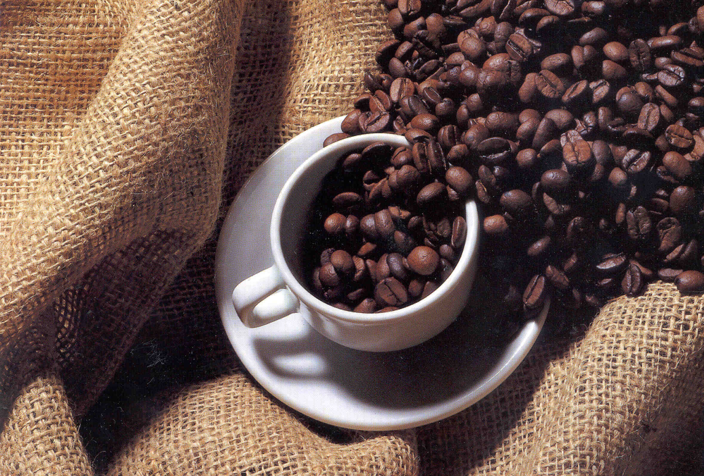 CAFÉ/CEPEA: Baixa oferta de qualidade pode limitar exportação desta safra