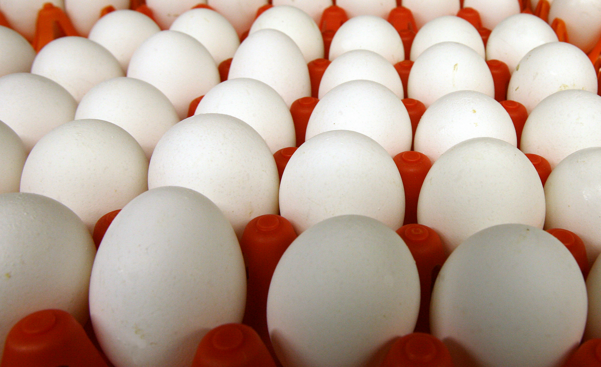 Mercado de ovos brancos alcança novo recorde de preço