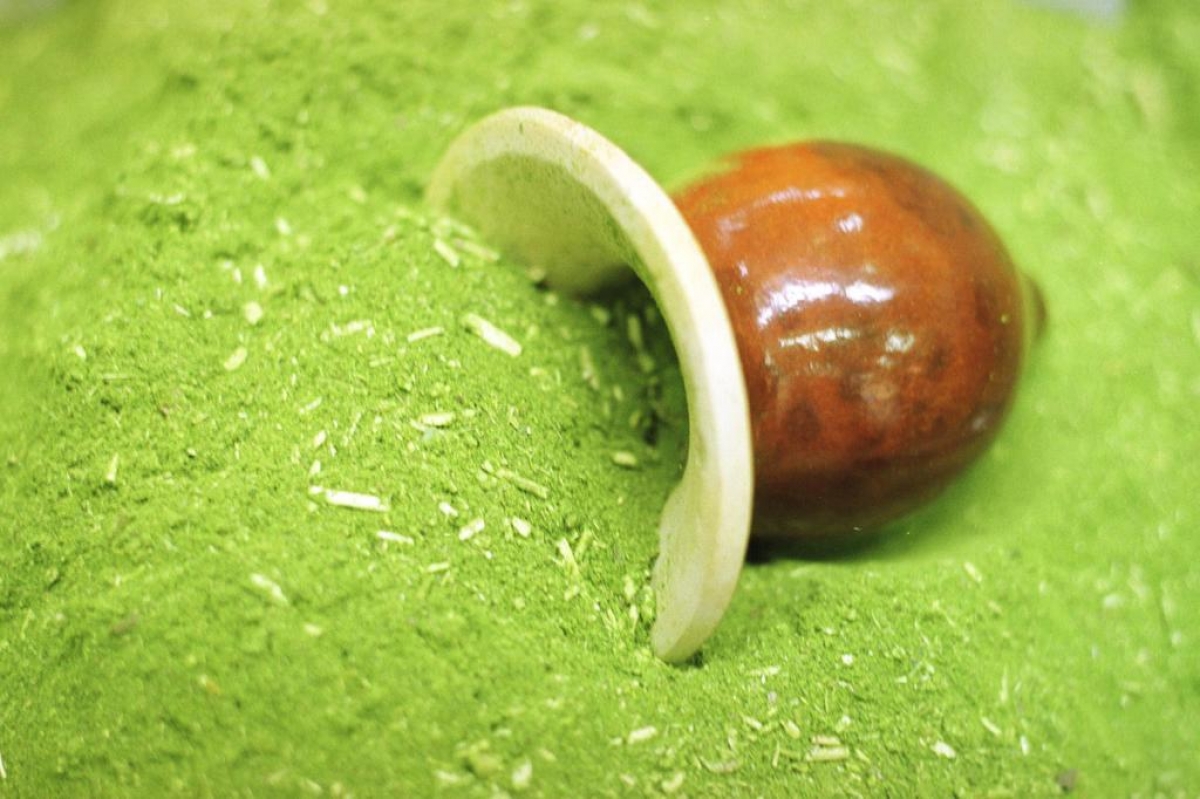 Expoagro 2016: Erva-mate, do plantio ao Selo de Qualidade