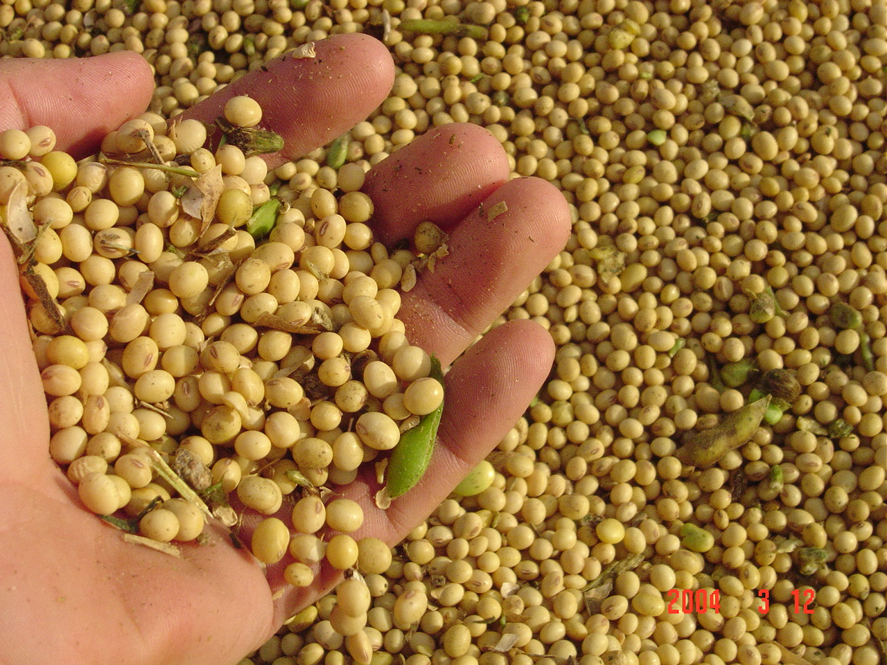 Produtores rurais de Mato Grosso e do Oeste da Bahia serão premiados no Seminário Soja Plus Brasil 2016