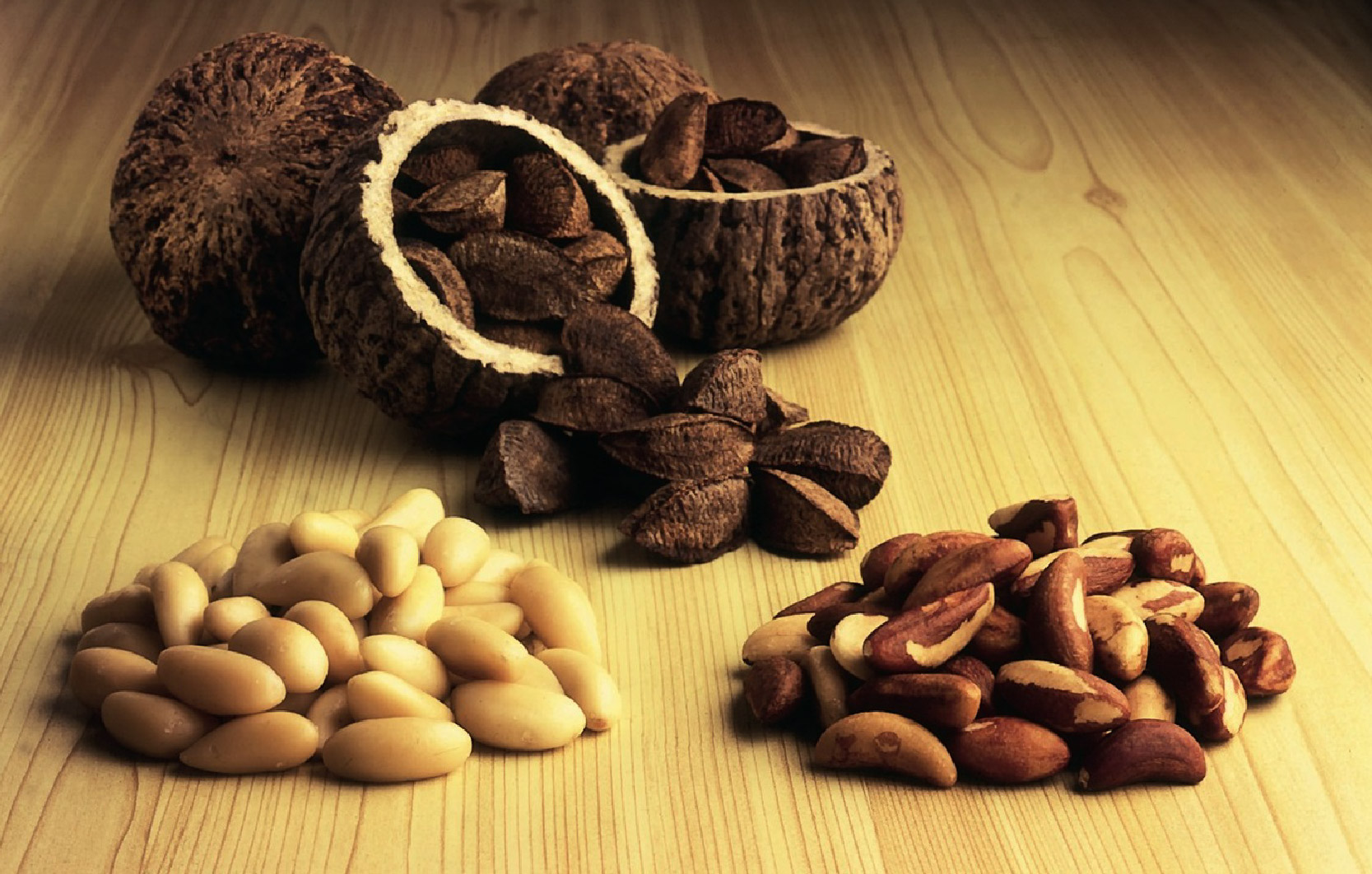 Mapeamento de castanhais na Amazônia brasileira é tema de seminário no Amapá