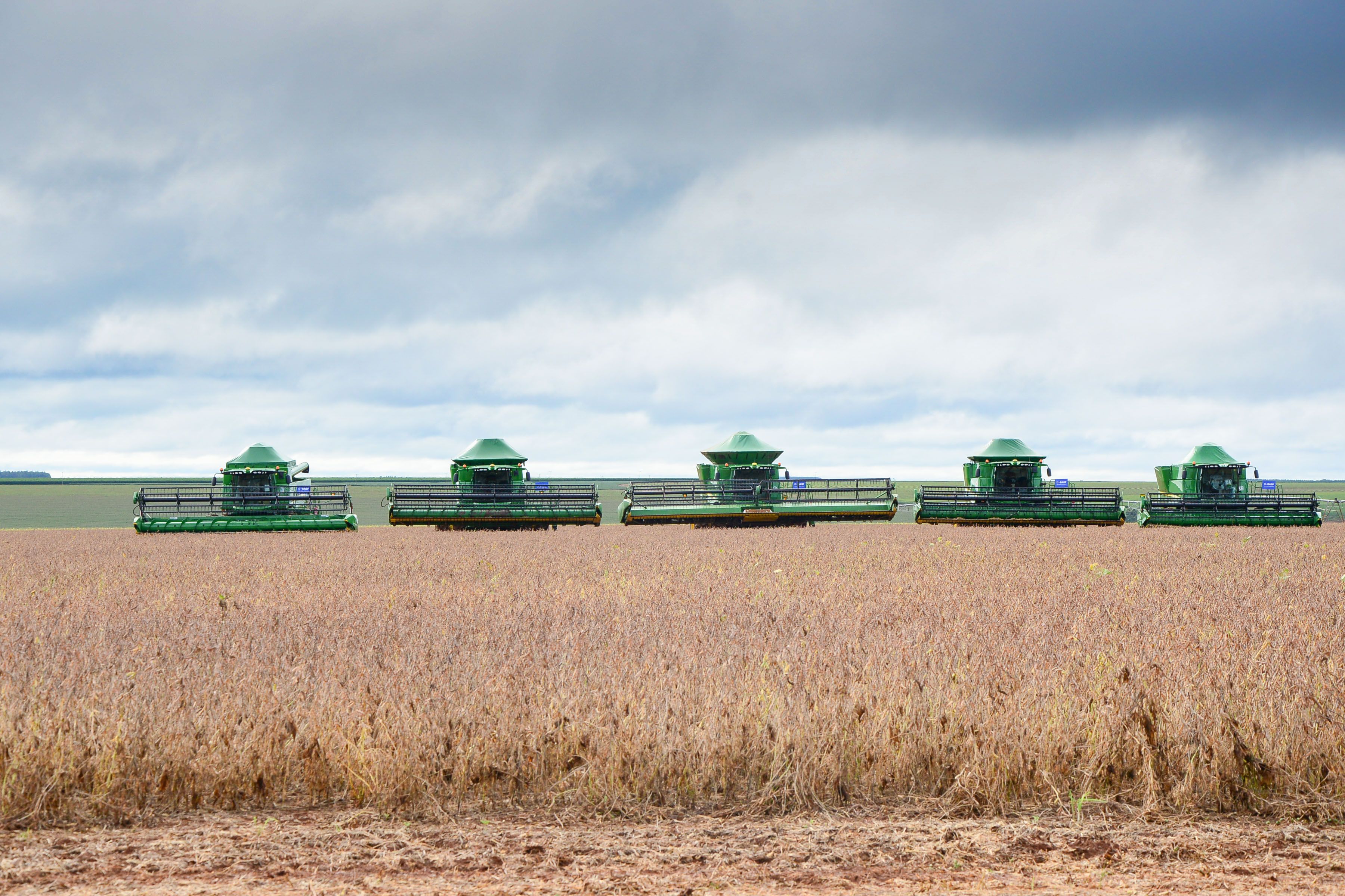 Soja estimula crescimento das exportações gaúchas