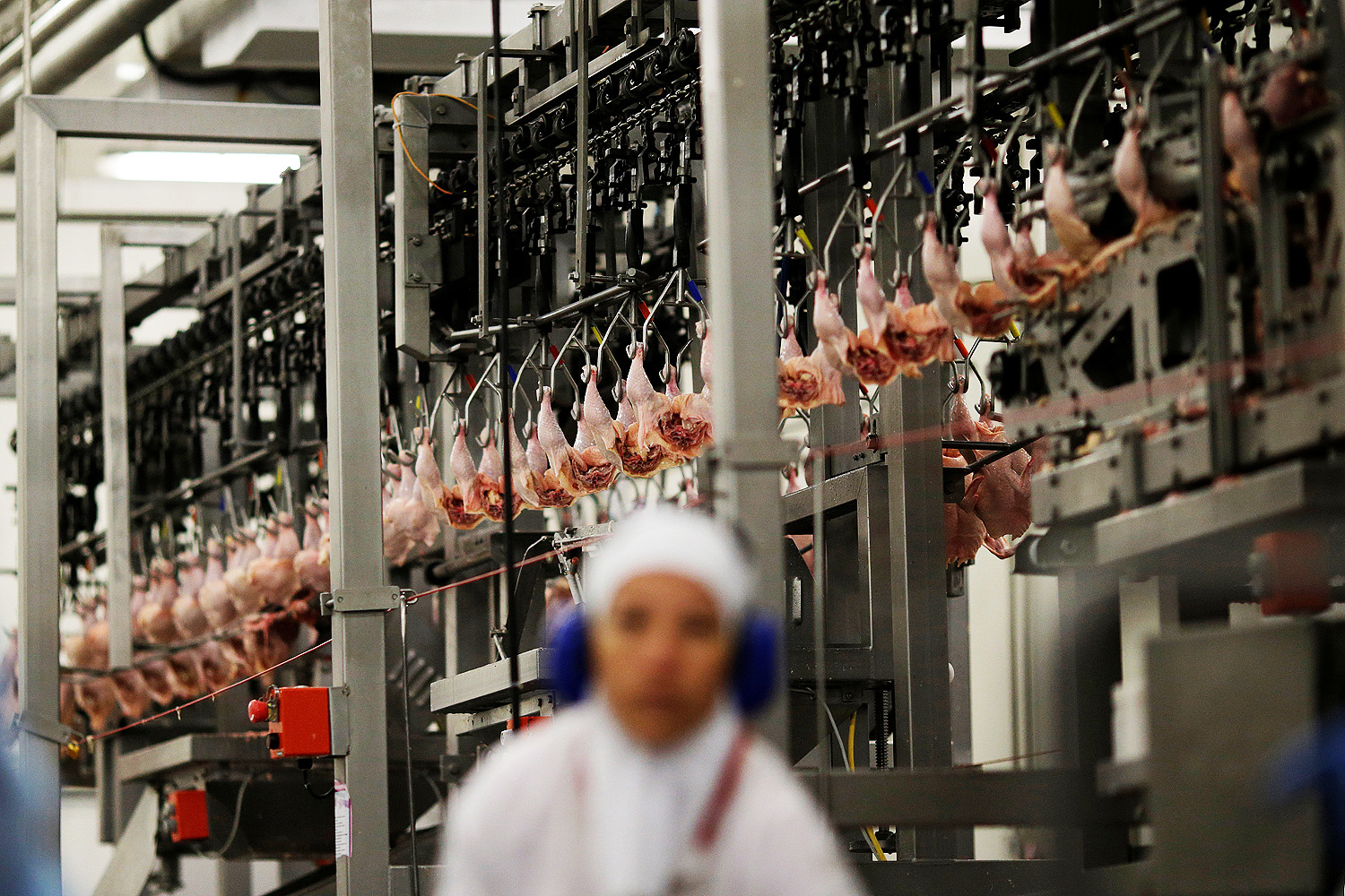 Fiscais agropecuários retomam mobilização por contratações e não descartam greve