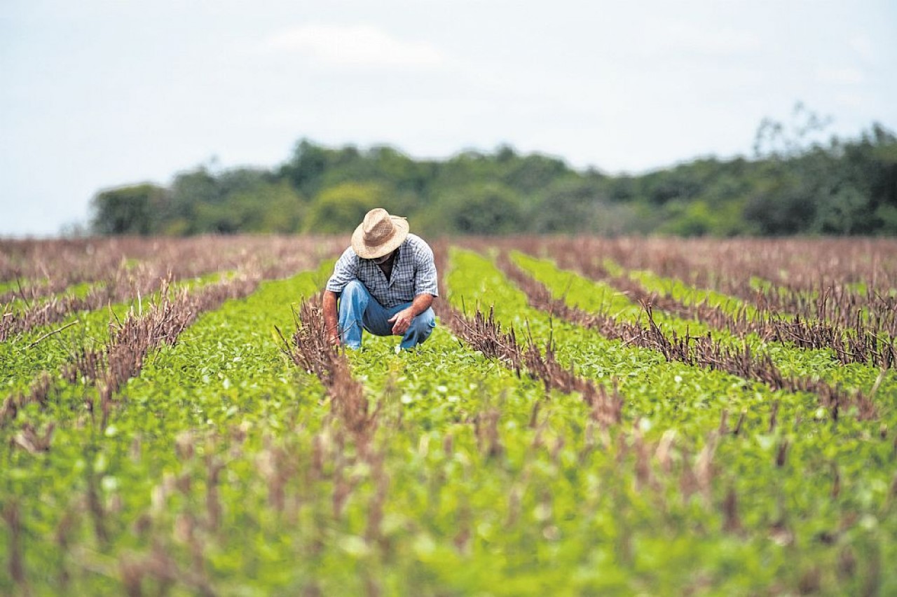 Produtores receberam quase R$ 3 bilhões em indenizações do seguro rural em 10 anos