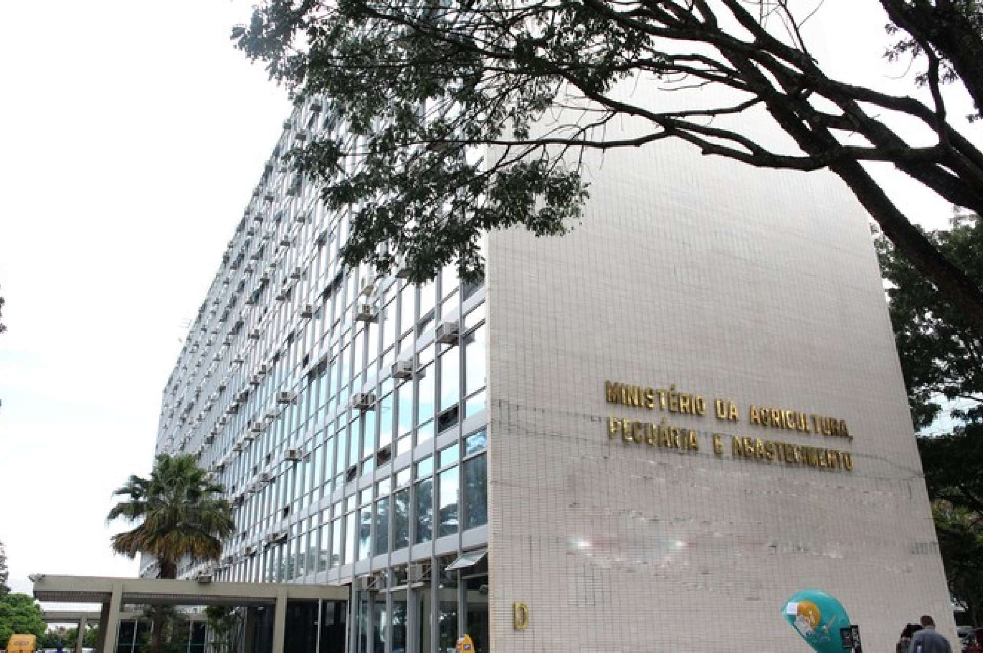 Ministério da Agricultura publica edital para concurso destinado a contratar 300 veterinários