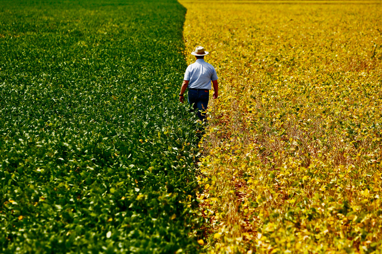 Abertas inscrições para o Prêmio BNDES de Boas Práticas para Sistemas Agrícolas Tradicionais