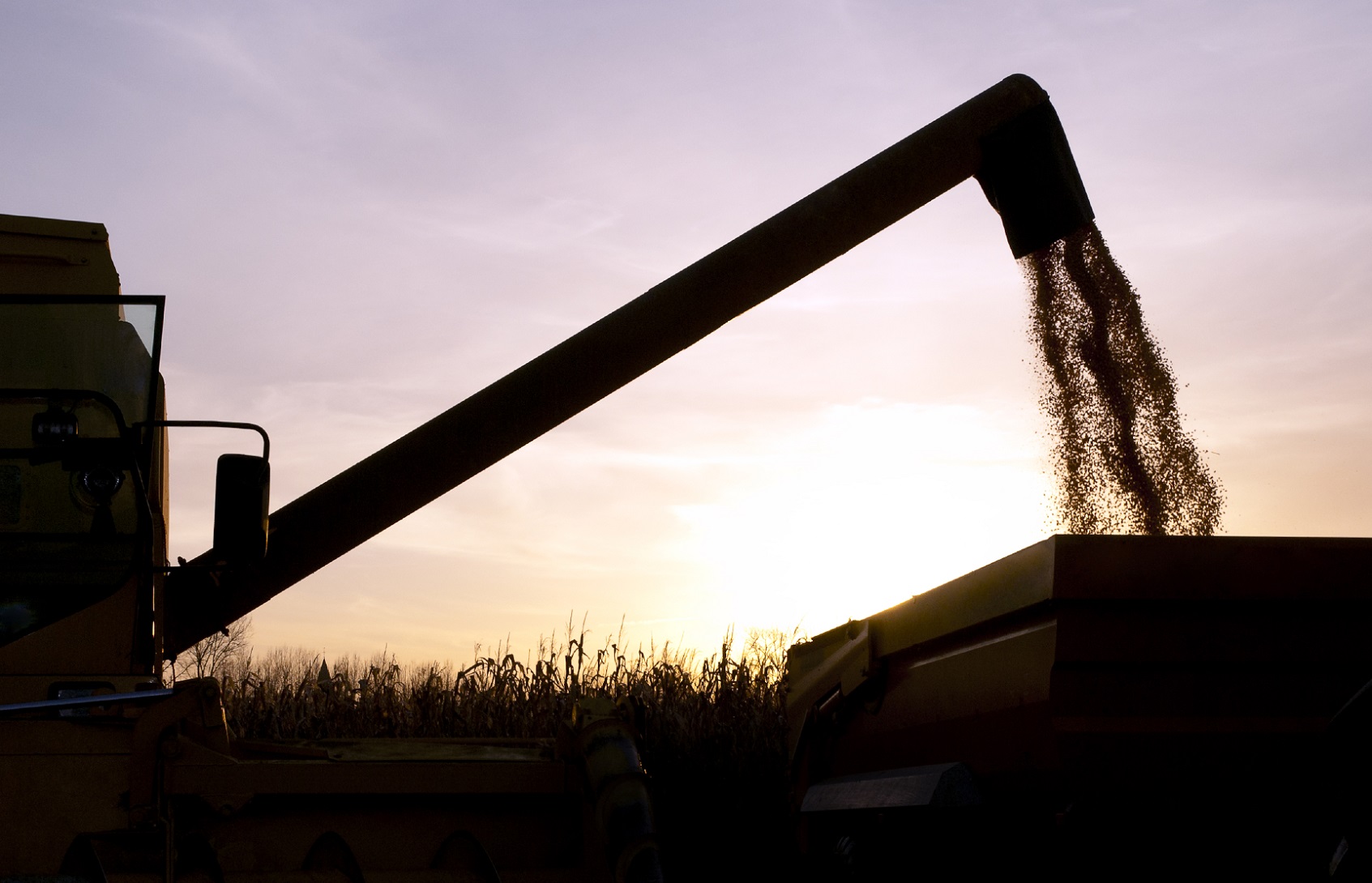 Faturamento da agropecuária cresce 1,7% acima da inflação
