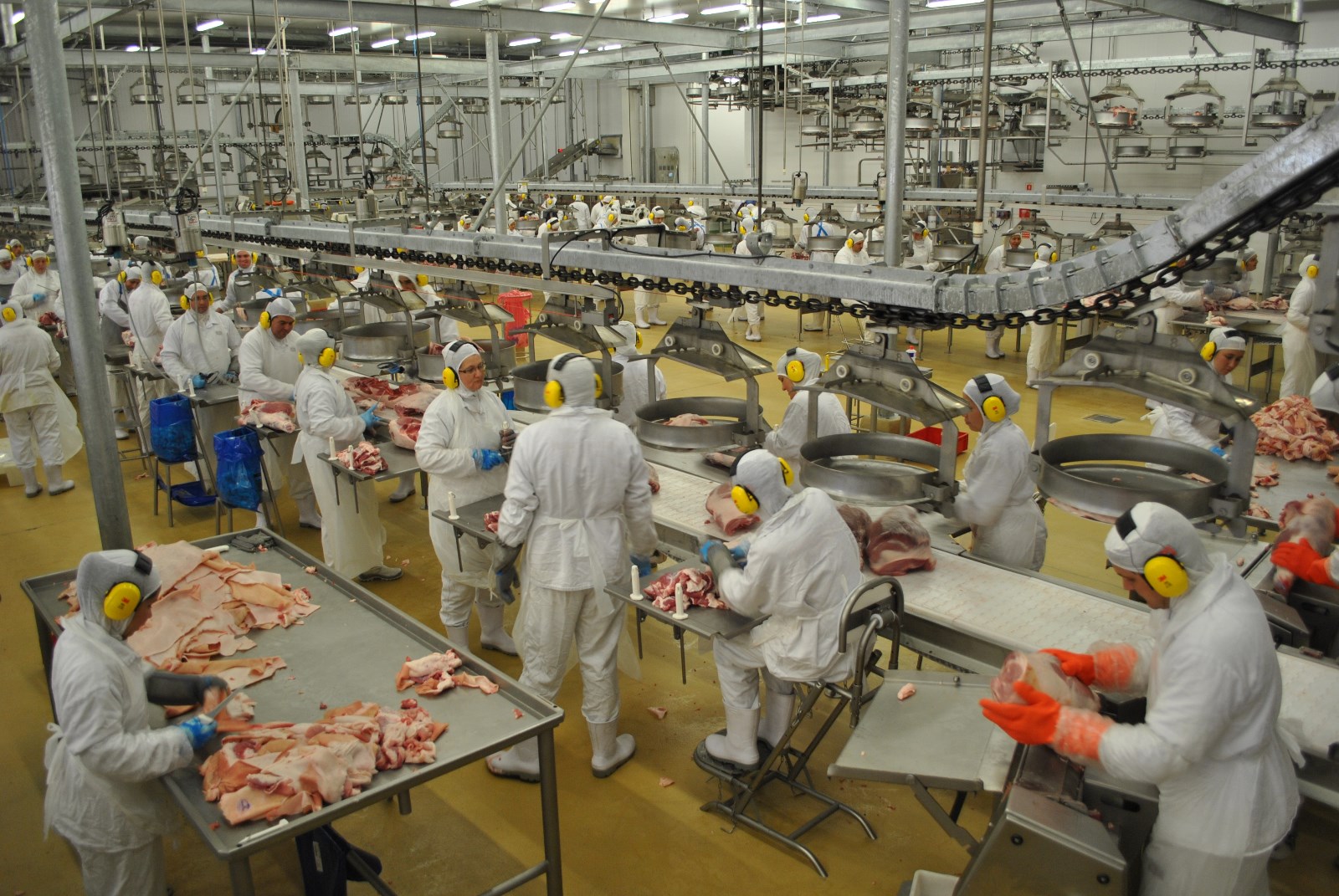 Mato Grosso do Sul produziu 813 mil toneladas de carne bovina em 2017