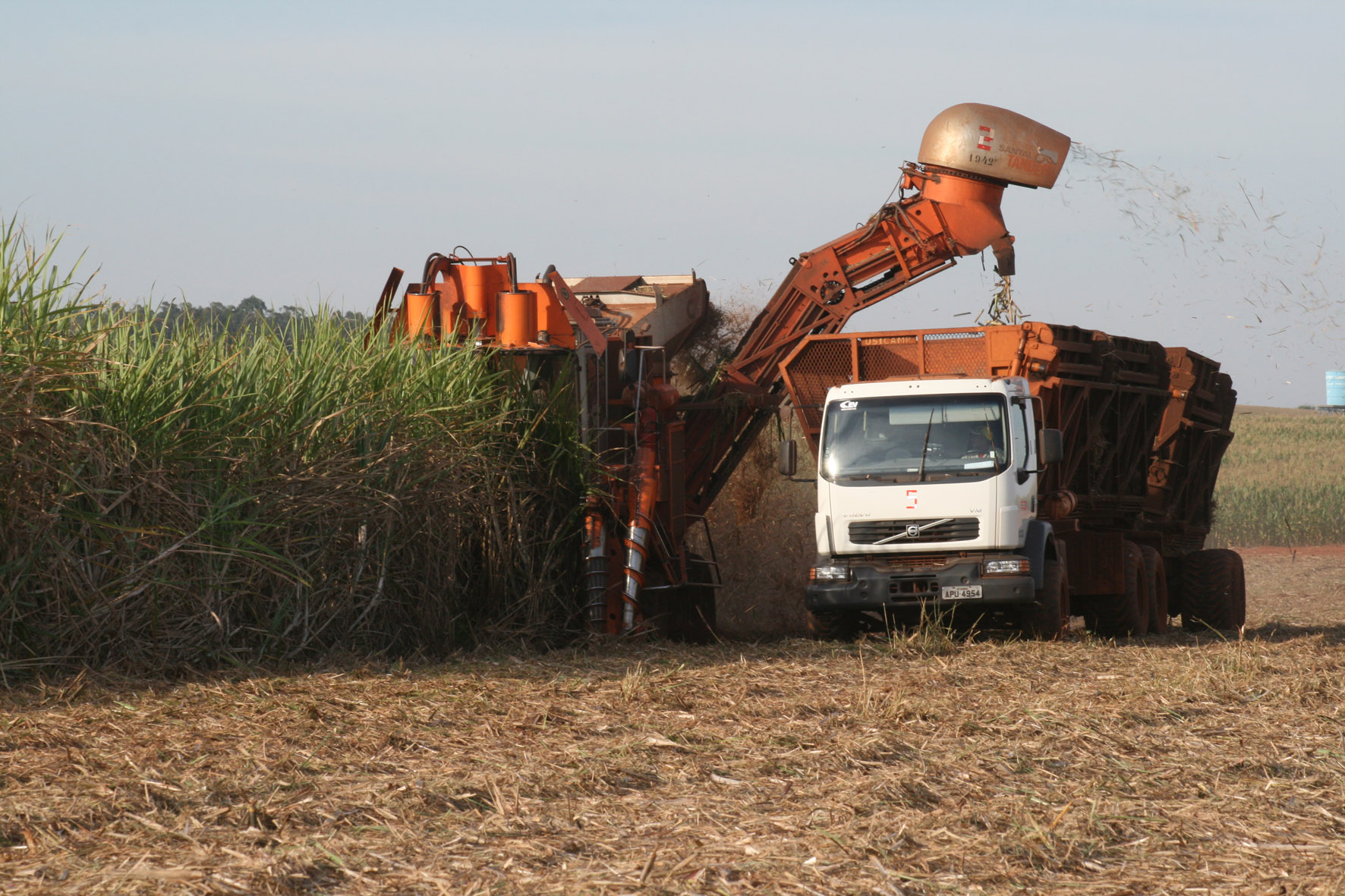 Moagem de cana é afetada pelo clima 