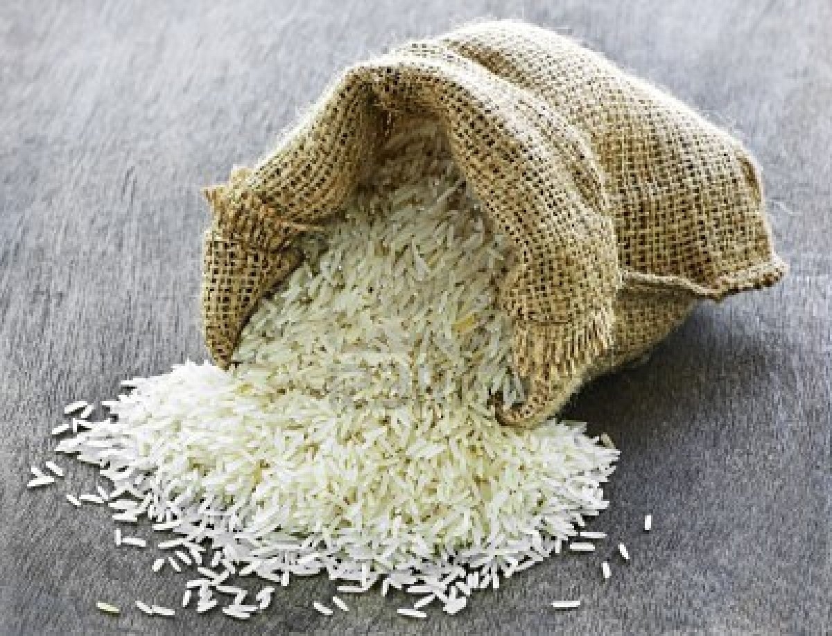 Conab realiza leilão de troca de arroz para doação internacional à Gaza