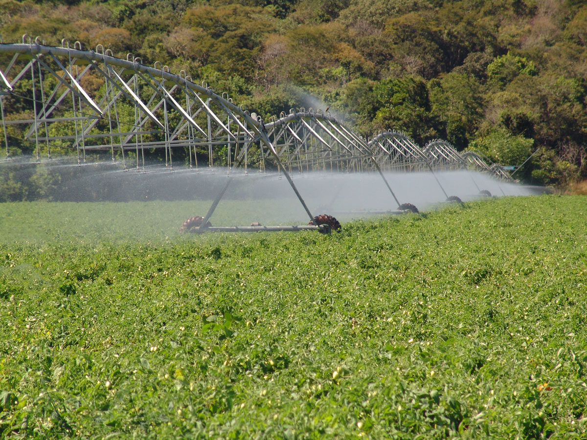 Mercado de irrigação deve crescer