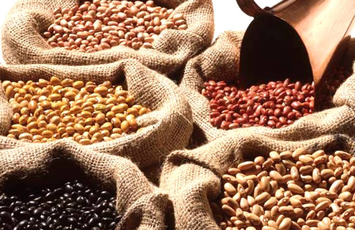 Produção de grãos pode variar entre 233,7 e 238,3 milhões de toneladas