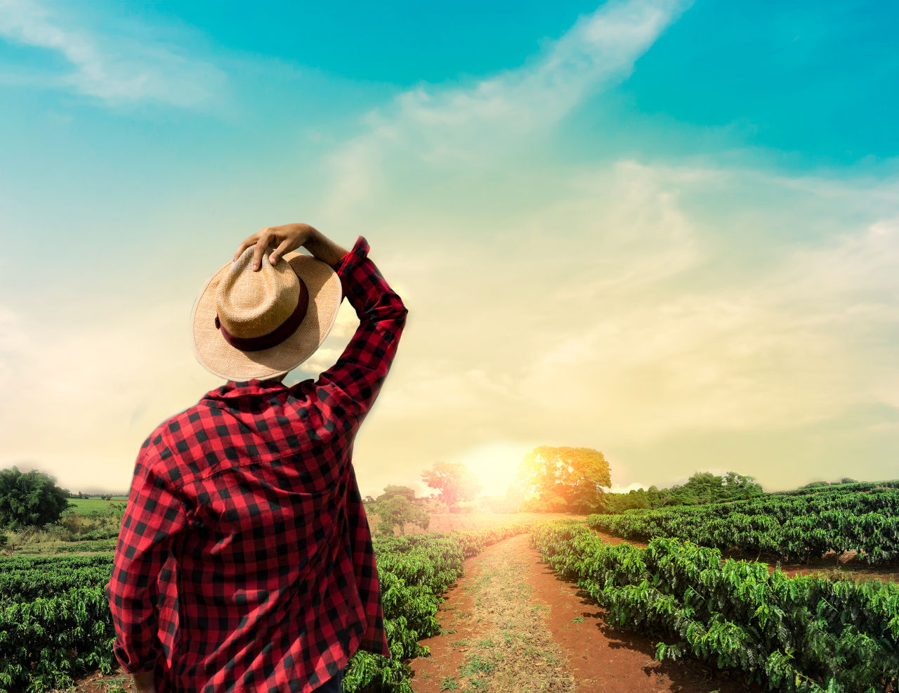 O que levar em conta na hora de comprar um imóvel rural?