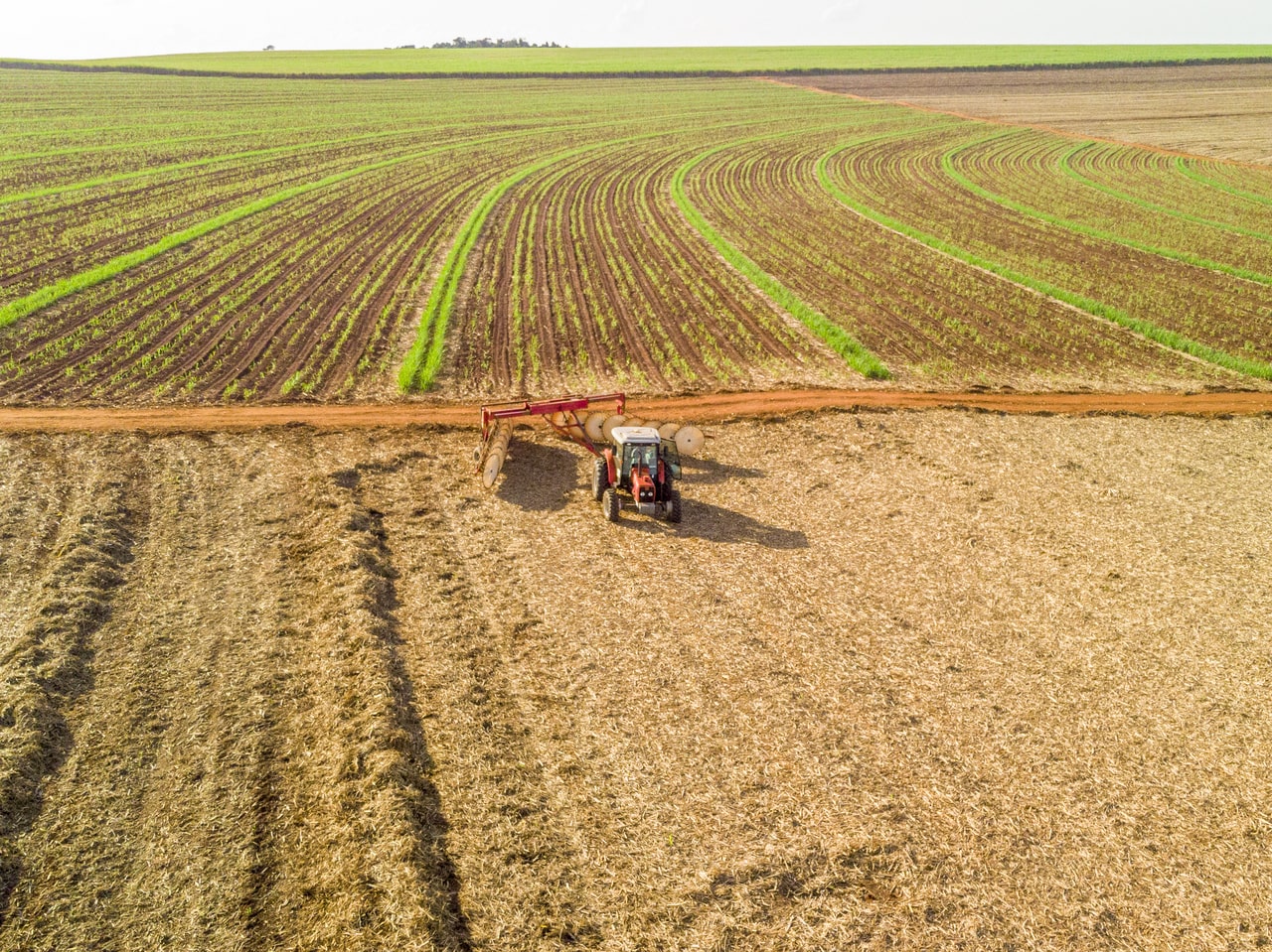 Agora é um bom momento para investir no agronegócio: entenda