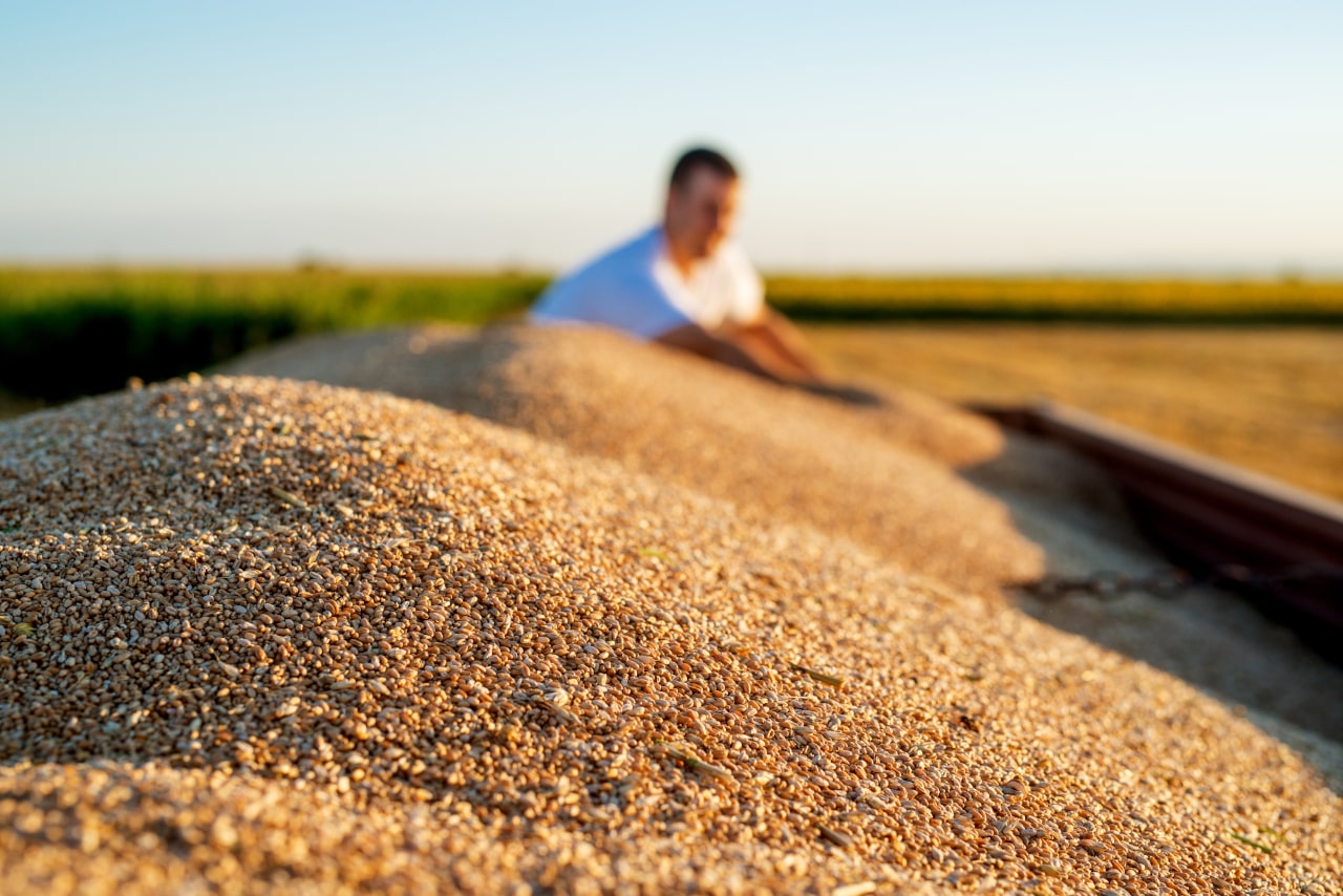 A exportação que enriquece o agro brasileiro