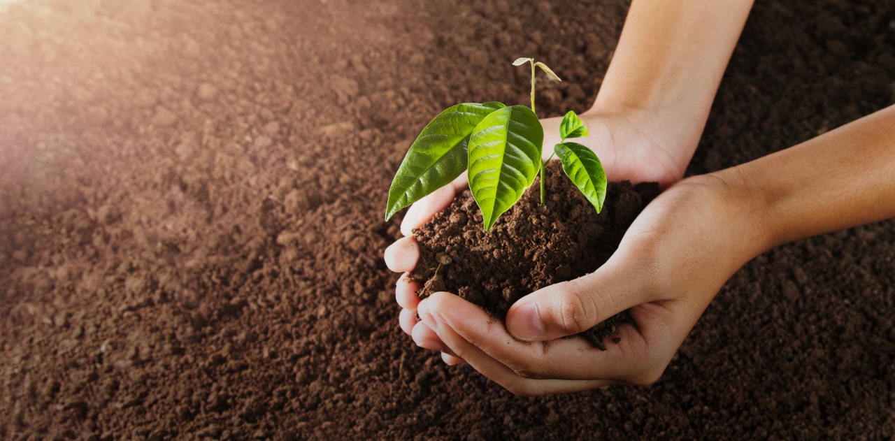 Entenda como a força do agro pode impactar a sua vida