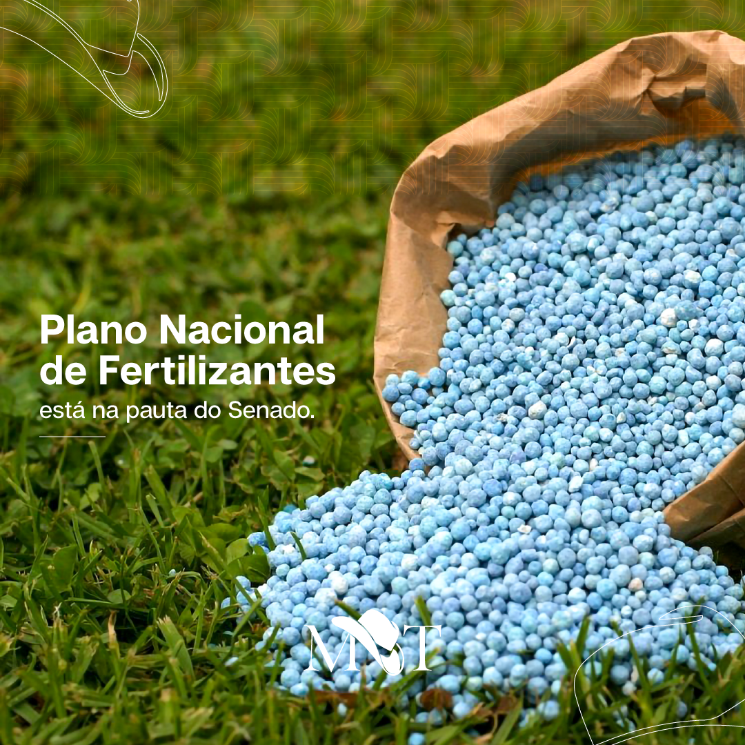 Plano Nacional de Fertilizantes pode ser lançado ainda neste mês