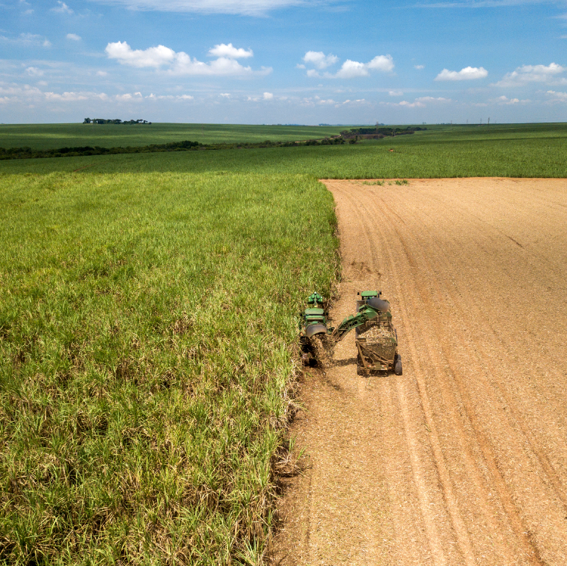 Etanol: Anidro e hidratado fecham a semana em baixa; hidratado não sobe desde a última semana de julho.