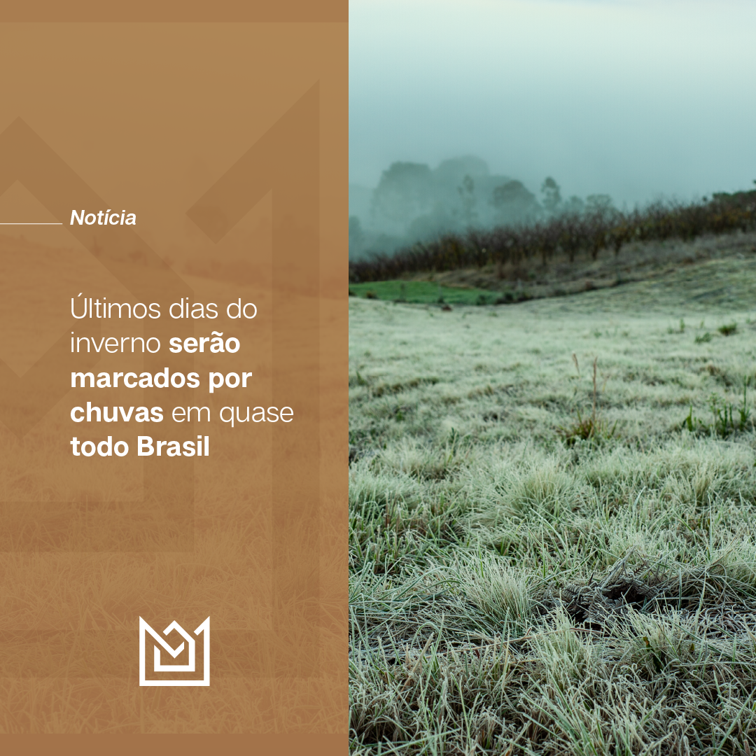 Últimos dias do inverno serão marcados por chuvas em quase todo Brasil.